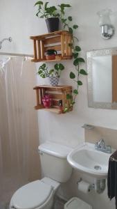 a bathroom with a toilet and a sink at Casita práctica, sencilla y lista para recibirte. in Silao