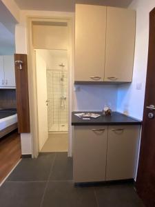 a kitchen with a black counter top and a bathroom at Studio apartman Mia in Tar