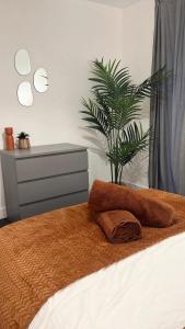 a bedroom with a bed with a plant on it at Richmond Village Apartments in Cardiff