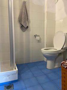 baño con aseo y suelo azul en Pinelopi Holiday House, en Melínta