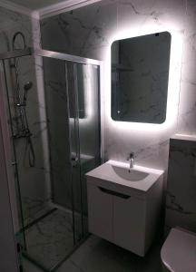 uma casa de banho com um chuveiro, um lavatório e um espelho. em Apartman-Stan em Bugojno