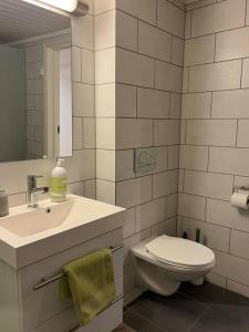 a white bathroom with a toilet and a sink at Tjodalyng - ved Viksfjord - sokkelleilighet in Larvik