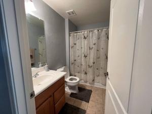 a bathroom with a sink and a toilet and a shower curtain at Lady T’s Serenity Getaway near TUS airport in Tucson
