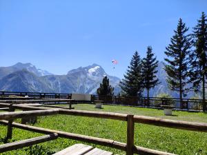 a kite flying over a field with mountains in the background at Studio avec jardin et garage, proche Super vénosc in Les Deux Alpes
