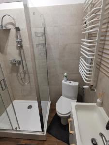 W łazience znajduje się prysznic, toaleta i umywalka. w obiekcie Apartament na Rynku w Gnieźnie w Gnieźnie