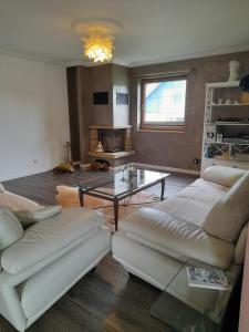 a living room with two couches and a table at Ferienwohnung im Naturgarten in Chemnitz