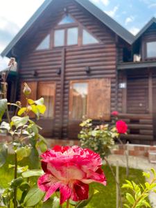 różowy kwiat przed drewnianym domem w obiekcie Sky High Kolasin w mieście Kolašin