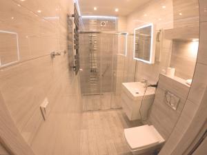 ein Bad mit einer Dusche, einem WC und einem Waschbecken in der Unterkunft Apartament Kłos in Wisła