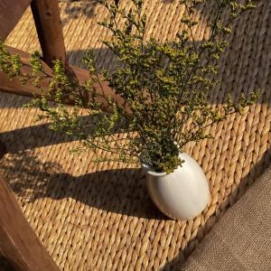 a white vase sitting on a table with a plant at Homestay Sài Gòn in Phú Quốc