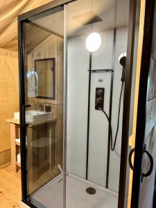 a shower with a glass door next to a sink at Cherry Tree Safari Lodge in Talaton