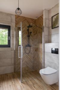 a bathroom with a shower with a toilet and a sink at Klangor Mechowo in Mechowo