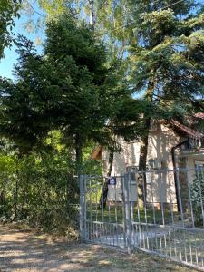 a fence in front of a house with a tree at Vila Vera Novosadska 15 in Velika Remeta
