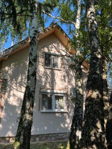 una casa blanca con dos ventanas entre dos árboles en Vila Vera Novosadska 15, en Velika Remeta