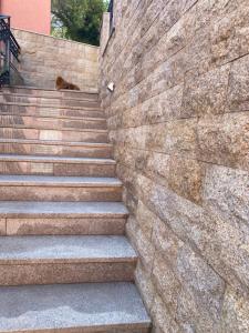 a stone wall with stairs with a dog sitting on it at Apartments Ivan in Petrovac na Moru