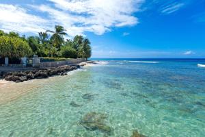 a beach with clear water and palm trees at Leamington Cottage in Saint Peter