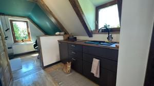 a cat sitting on the floor in a kitchen at Uroczysko in Lesko