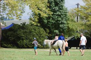 a group of people and a girl riding a horse at Mountain Splendour Eco Resort in Winterton