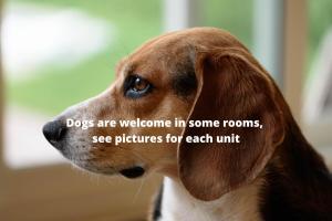 a brown and white dog with a quote on its face at Brukshotellet Öland - Vandrarhem in Degerhamn