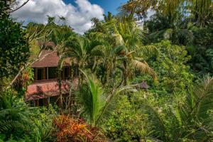 a house in the jungle with palm trees at Down The Rabbit Hole in Ubud