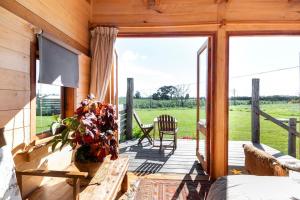 a wooden cabin with a porch with a sliding glass door at FreeFall Hut in Hastings