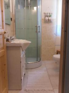 a bathroom with a shower and a sink and a toilet at B&B Fragus e Saboris de Sardigna in Sadali