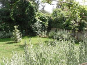 un jardín con césped y plantas y una valla en B&B Fragus e Saboris de Sardigna, en Sadali