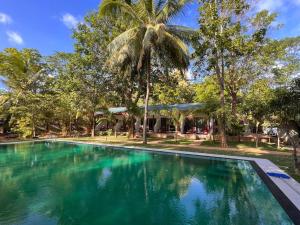 a swimming pool with a palm tree in the background at La Dolce Vita in Sigiriya