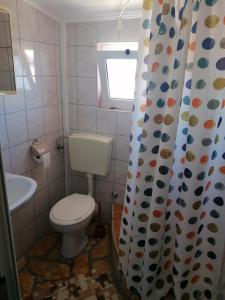 łazienka z toaletą i zasłoną prysznicową w obiekcie Apartmani Marija i Josip w mieście Vir