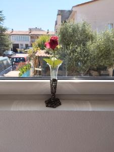 a vase with a rose sitting in a window at Quiet light room! in Zizur Mayor