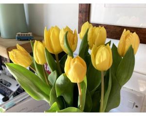 um ramo de tulipas amarelas num vaso em Bright, book-filled flat in artsy Stokes Croft em Bristol