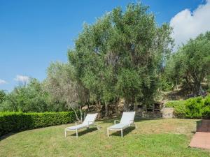 マッサローザにあるHoliday Home Il Pino by Interhomeの庭の芝生に座る白い椅子2脚