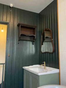 a green bathroom with a sink and a mirror at Lovely Cottage beside Surf Beaches & Bude Canal in Bude