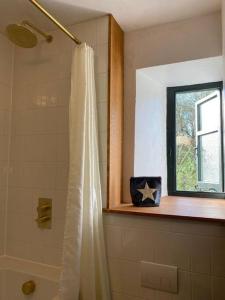 a bathroom with a shower curtain and a window at Lovely Cottage beside Surf Beaches & Bude Canal in Bude