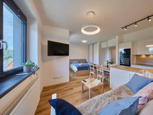 Sjónvarps- og/eða afþreyingartæki á Studio Černý Důl-1 by Interhome