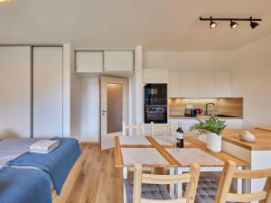 Eldhús eða eldhúskrókur á Studio Černý Důl-1 by Interhome
