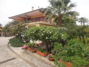 ジャルディーニ・ナクソスにあるAcquamarina Guest Homeの目の前に植物がたくさんある家