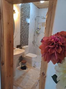 ein Bad mit einem WC und einem Waschbecken in der Unterkunft Çiftlik ve Dağ evi Kemer - Canerbey in Kemer