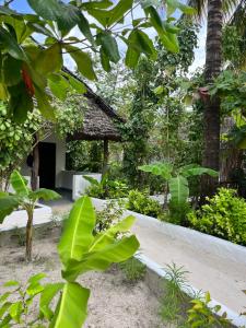 a garden with a building and some plants and trees at Karanga Bungalows in Michamvi