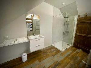 a bathroom with a shower and a sink and a mirror at Appartement au manoir de la grande vigne Mayenne in Mayenne