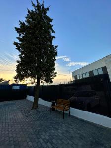 un banco sentado junto a un árbol al lado de un edificio en Elbląska Noclegi en Lodz