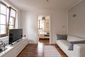 een woonkamer met een bank en een flatscreen-tv bij Privatzimmer Haus Schweiz in Bonn