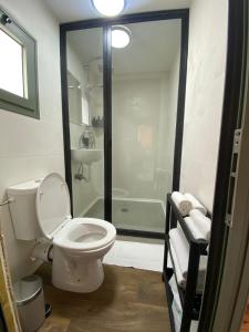 La salle de bains est pourvue de toilettes et d'une douche en verre. dans l'établissement T&S suite, à Dāliyat el Karmil