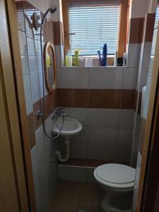 Koupelna v ubytování Apartment and rooms"Tabašnice"Tuzla centar