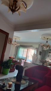 Appartement centre ville في لاراش: غرفة معيشة مع أريكة حمراء ومروحة سقف