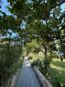 Gallery image of Depandance Casa Paolina in Capri