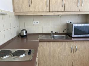 a small kitchen with a sink and a microwave at Hotel Opal Superior - Adults Only in Gyöngyös
