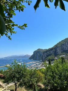 a view of the ocean from a hill with trees at Depandance Casa Paolina in Capri