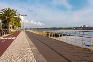 einen Gehweg neben einem Wasserkörper mit Palmen in der Unterkunft Litoral beach Apartment -- Esposende in Esposende