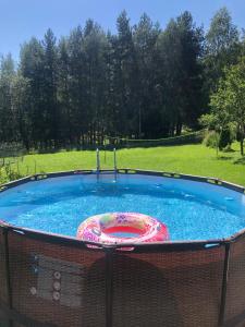 a hot tub with a colorful sprinkler in a yard at Agroturystyka Chata za wsią in Uście Gorlickie