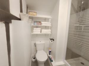 La petite salle de bains est pourvue d'une douche et de toilettes. dans l'établissement Cosy Appartement 4P proche 12eme/Vincennes, à Charenton-le-Pont